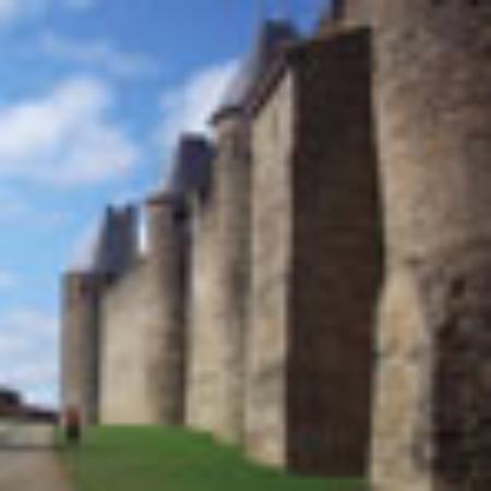 Shri Master Restaurant